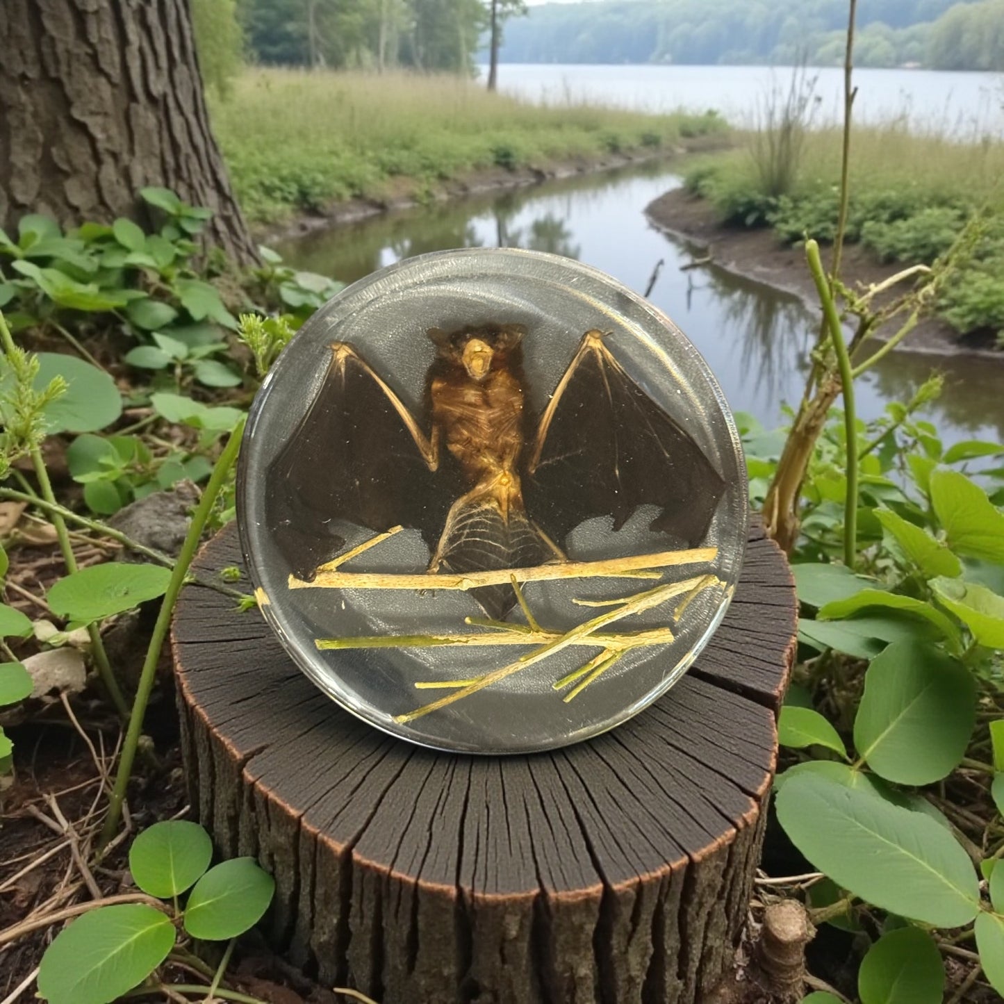 Bat in Resin Disc