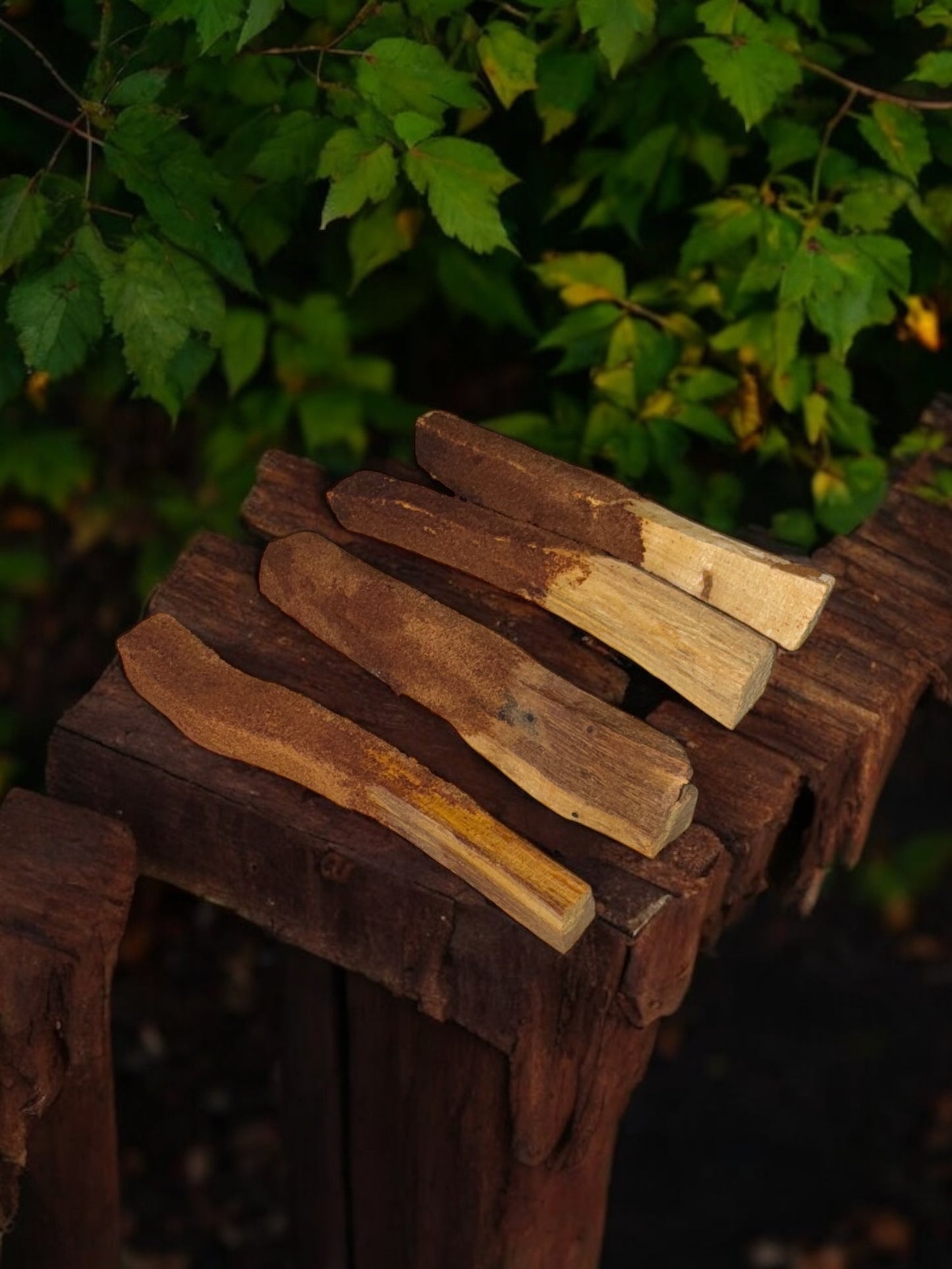 Spiced Palo Santo Sticks