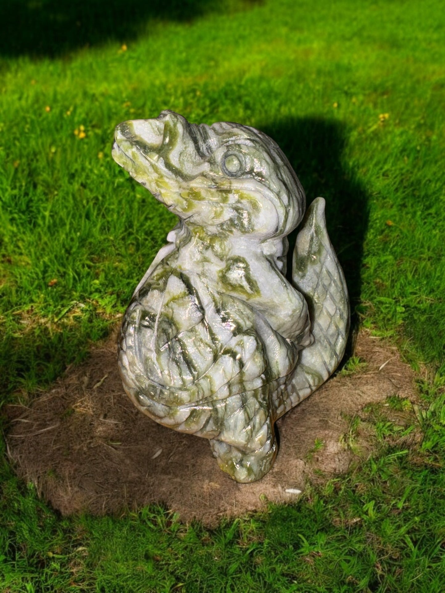 Dushan Jade “Investigator” Alligator