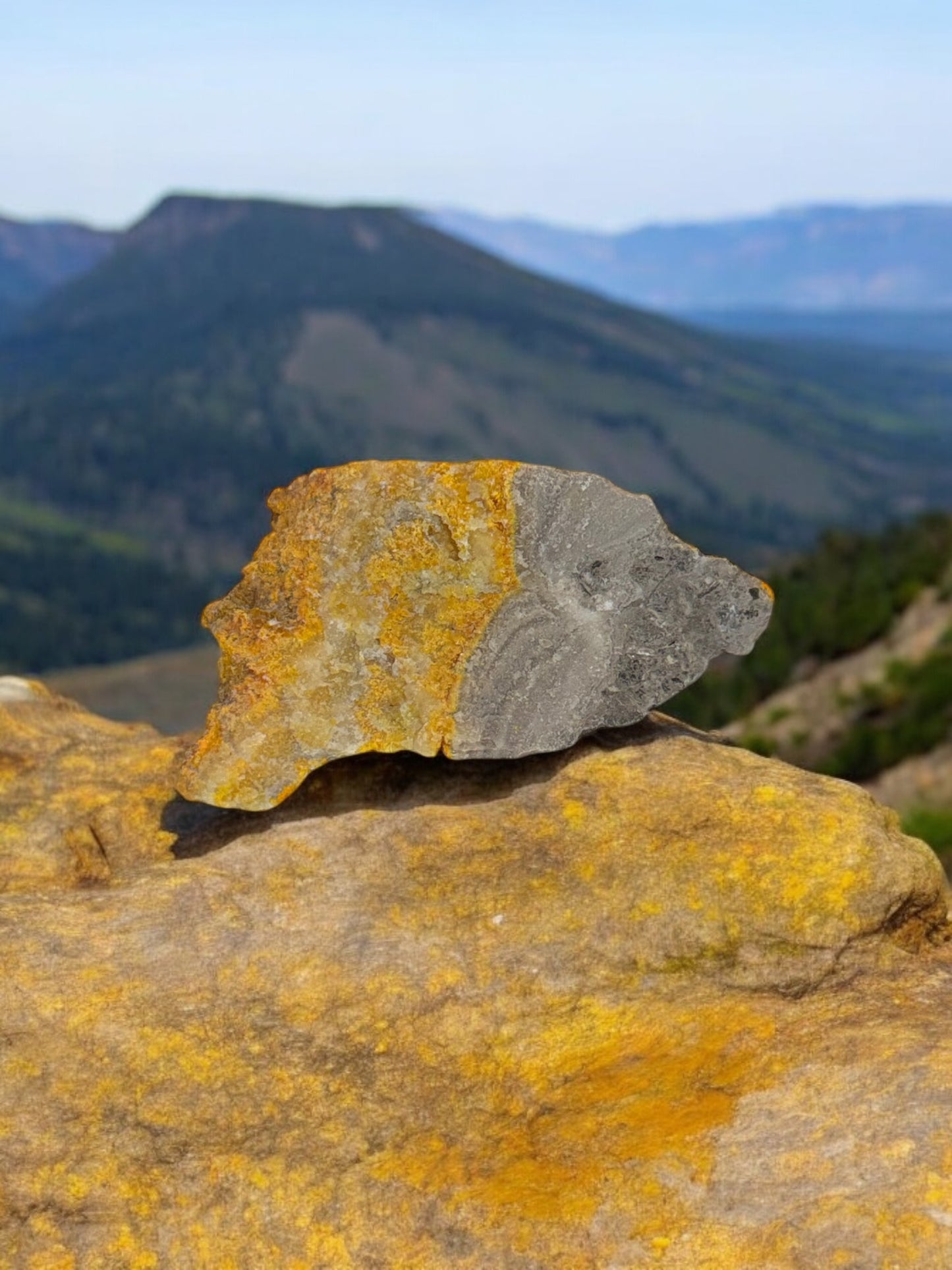 Raw Bumblebee Jasper