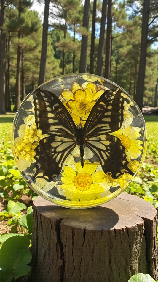 Asian Swallowtail Butterfly Resin Disc