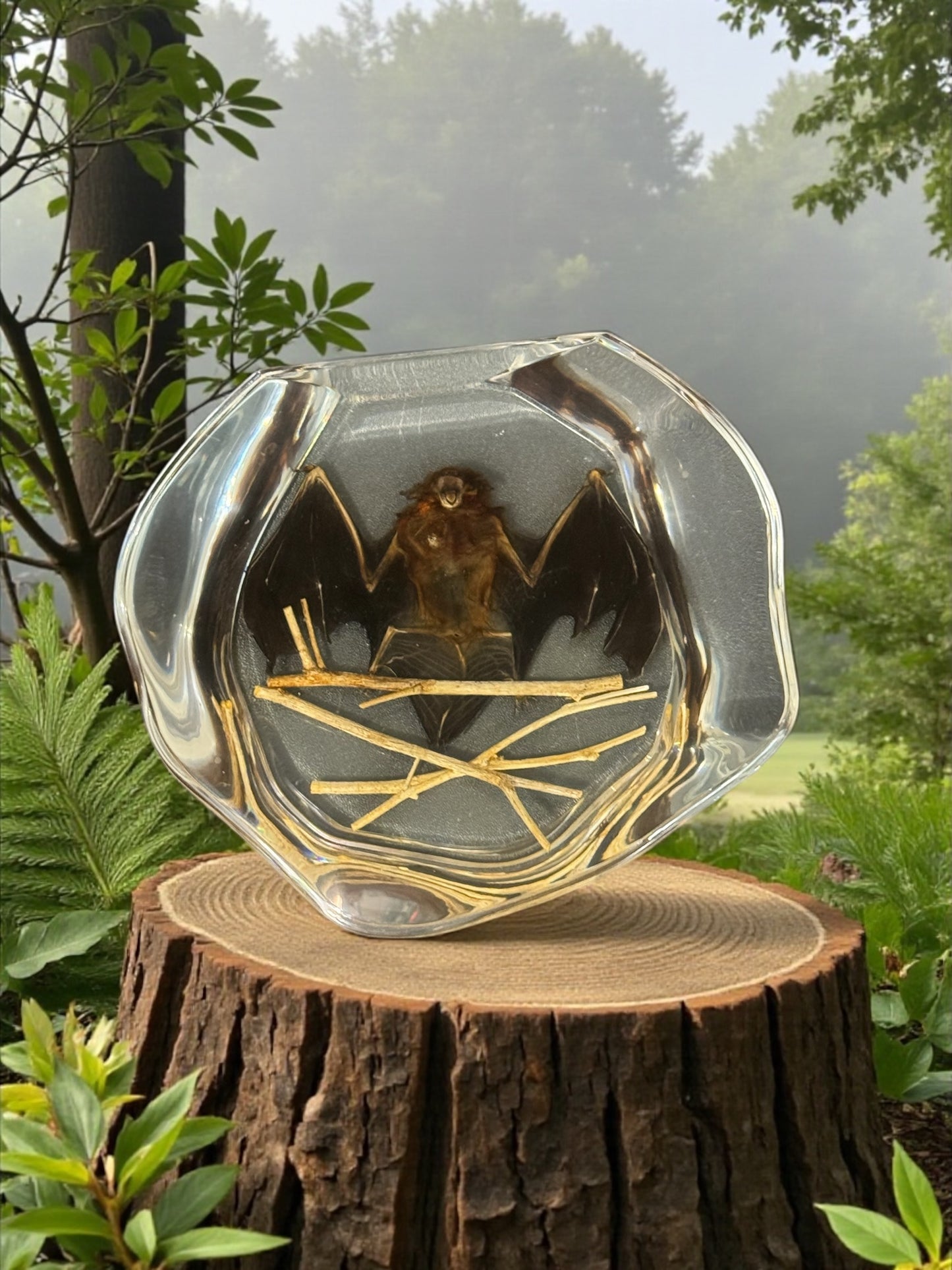 Bat in Resin Plate