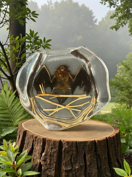 Bat in Resin Plate