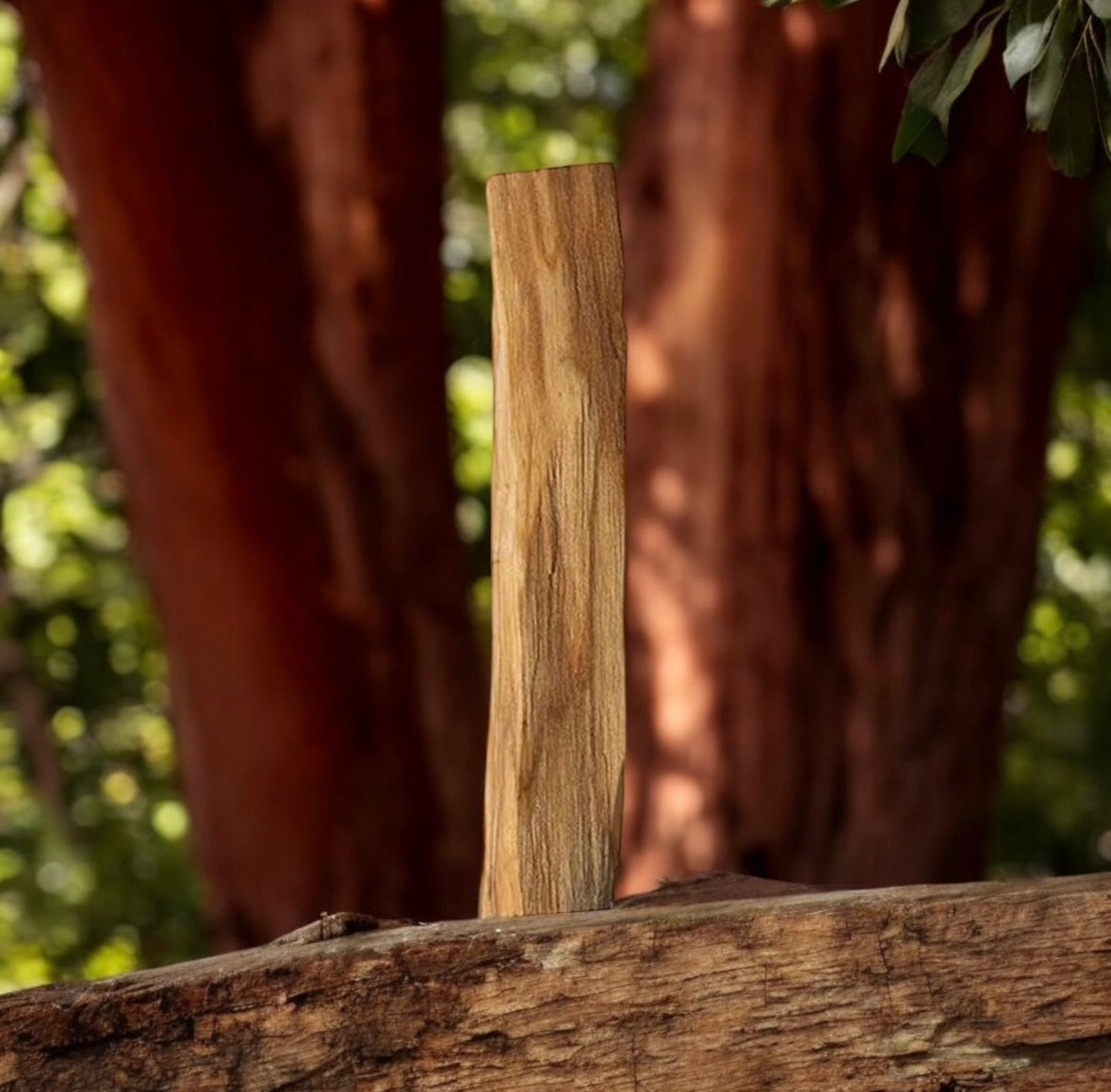 Palo Santo Sticks