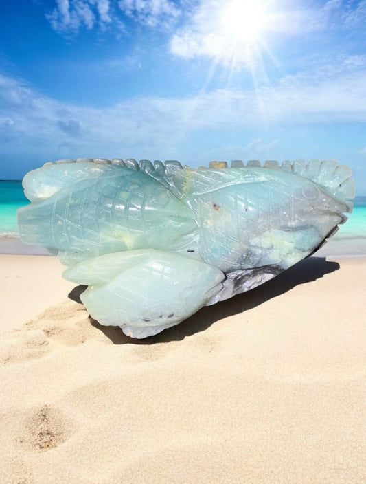 Caribbean Calcite Fish Trio