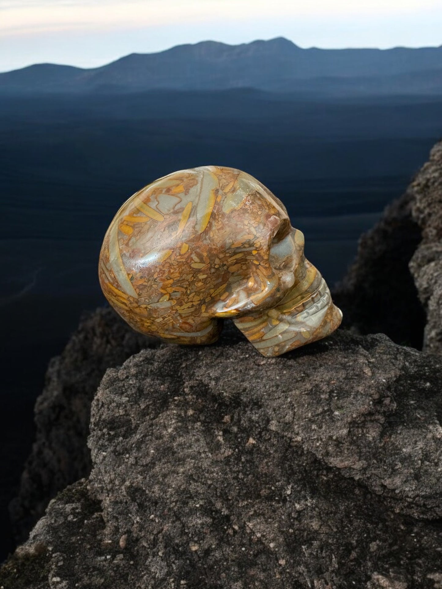 Bamboo Jasper Skull