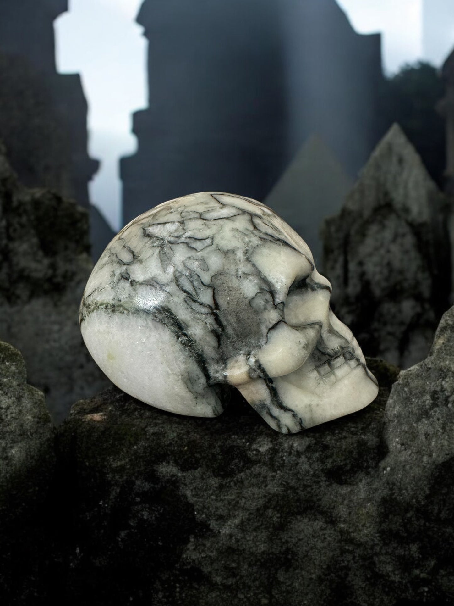 Spider Web Jasper Skull