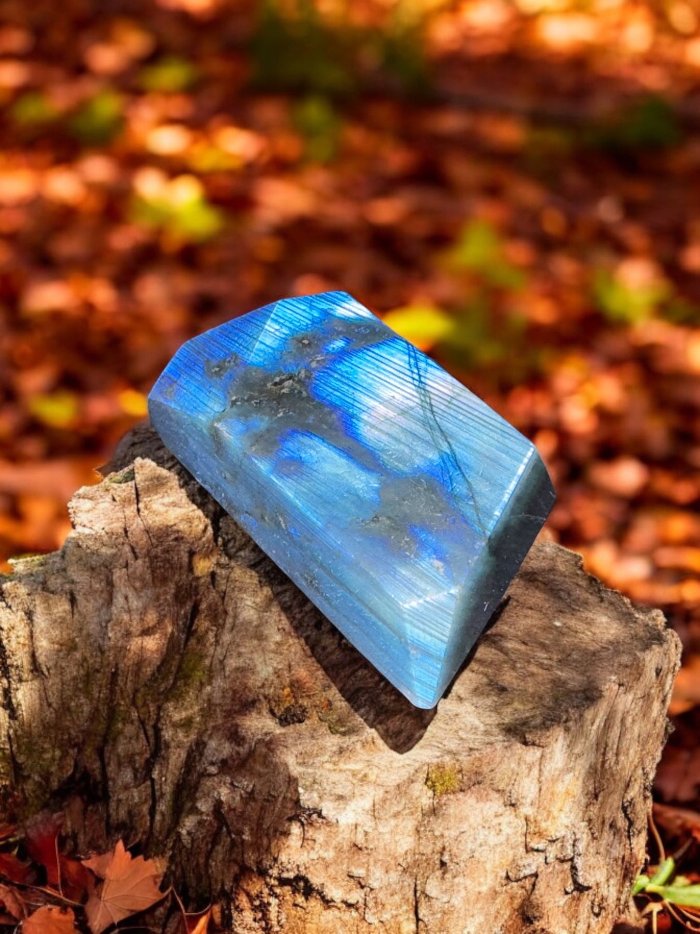 High Flash Labradorite Small Freeform