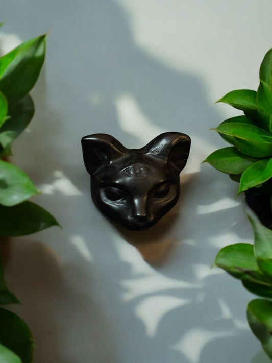 Black Obsidian 3 Eye Cat
