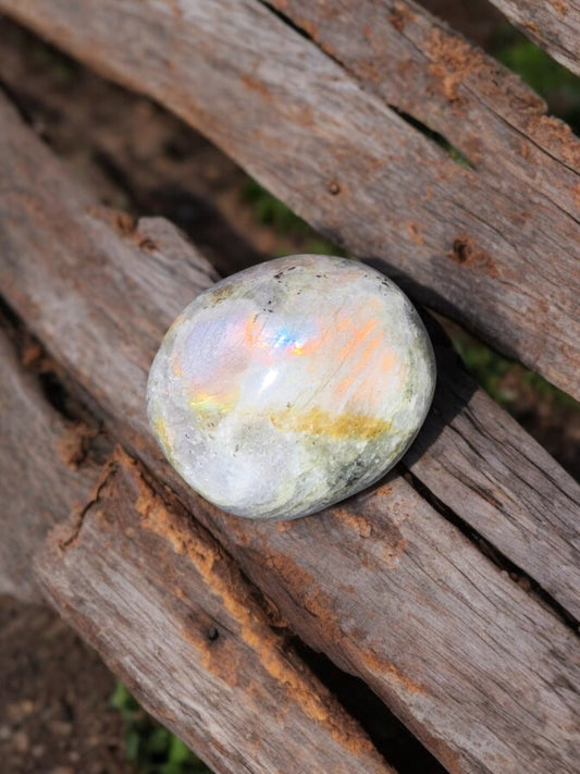 Rainbow Flash Labradorite Palm