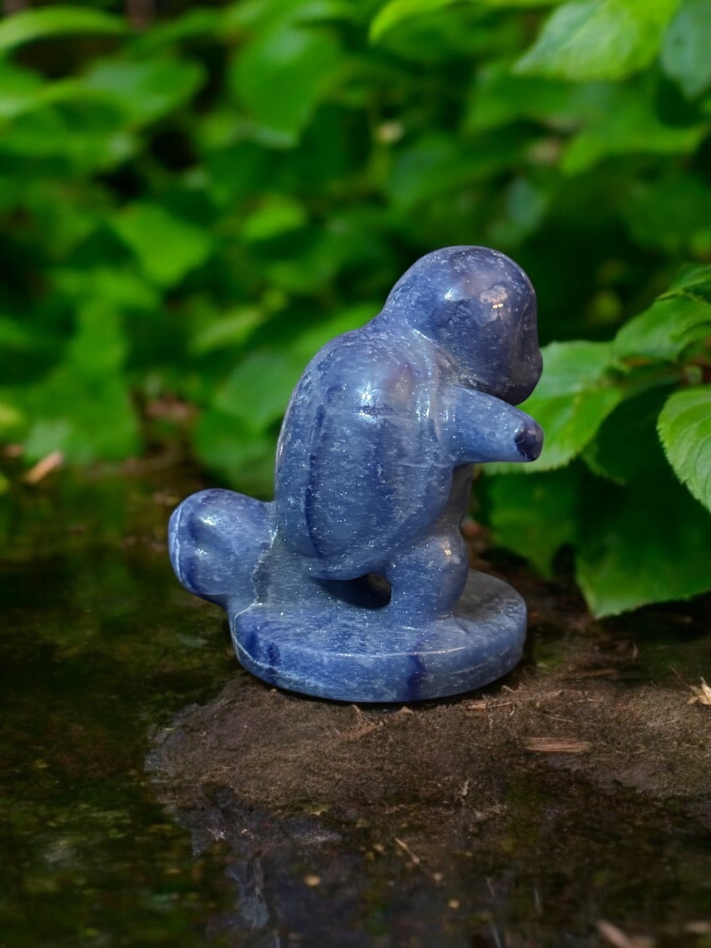 Blue Aventurine Squirtle