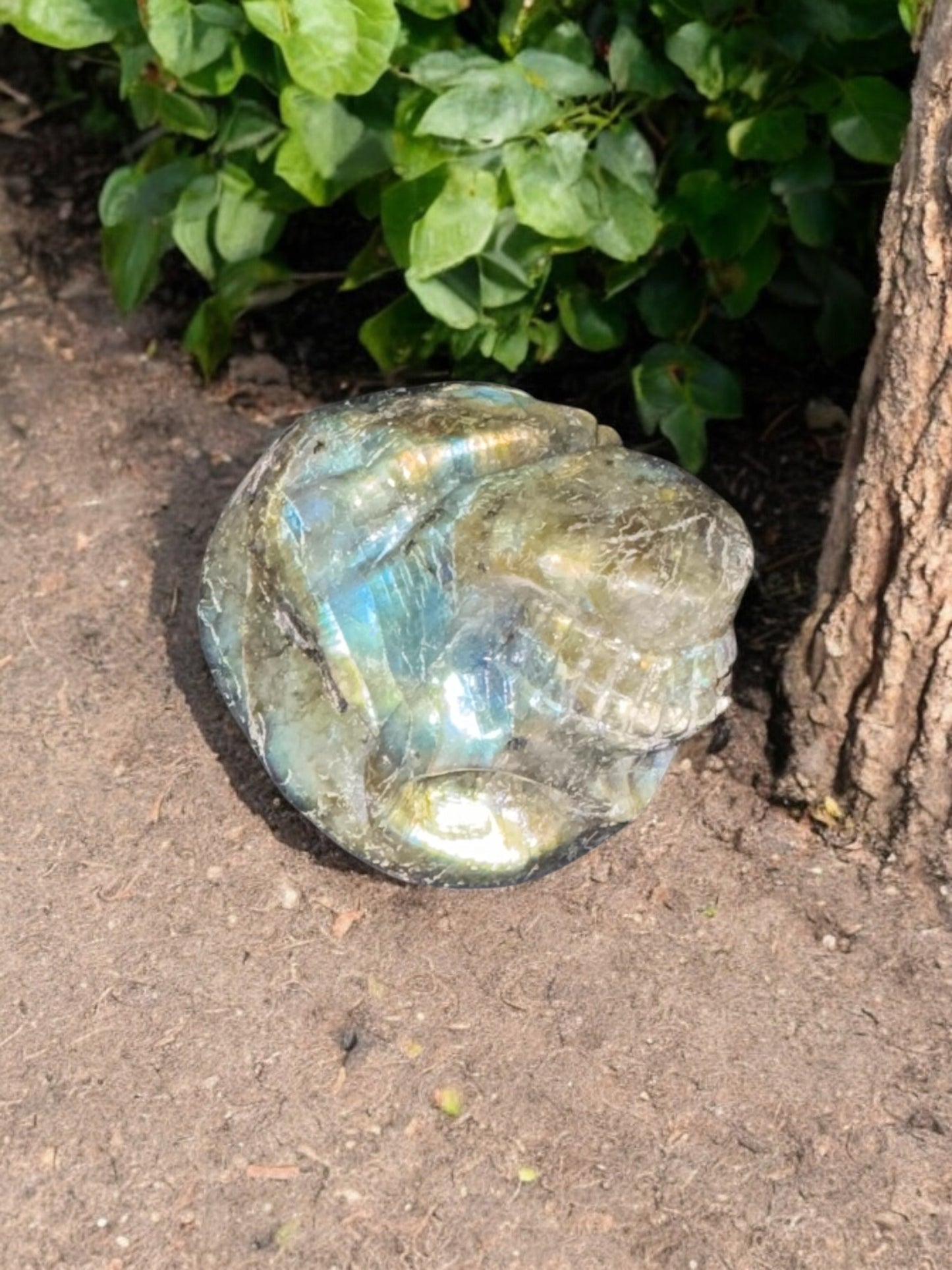 Labradorite Skull