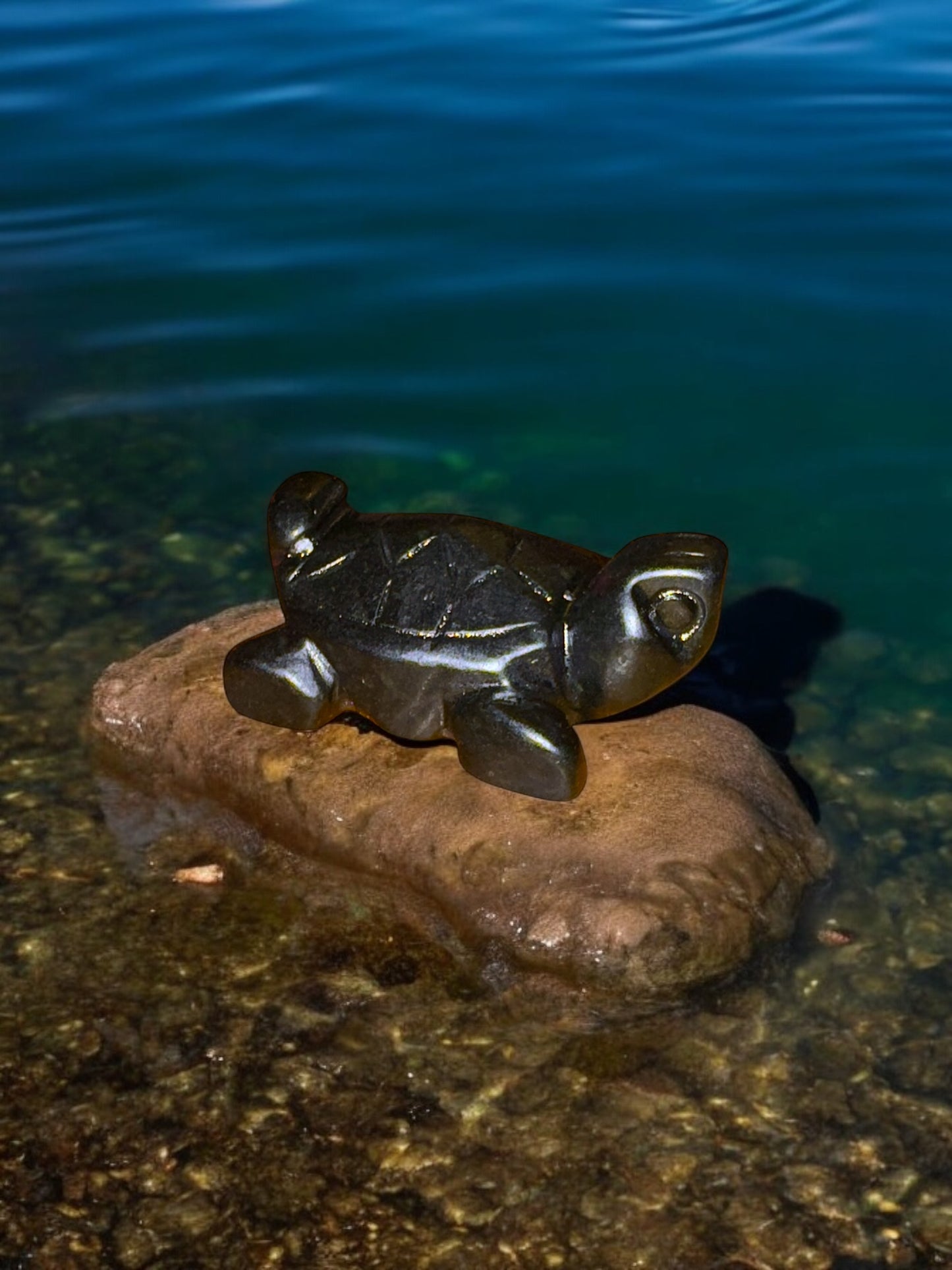Black Serpentine Jade Turtle W/ Authenticity Paper